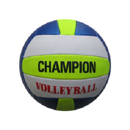 Volley Ball